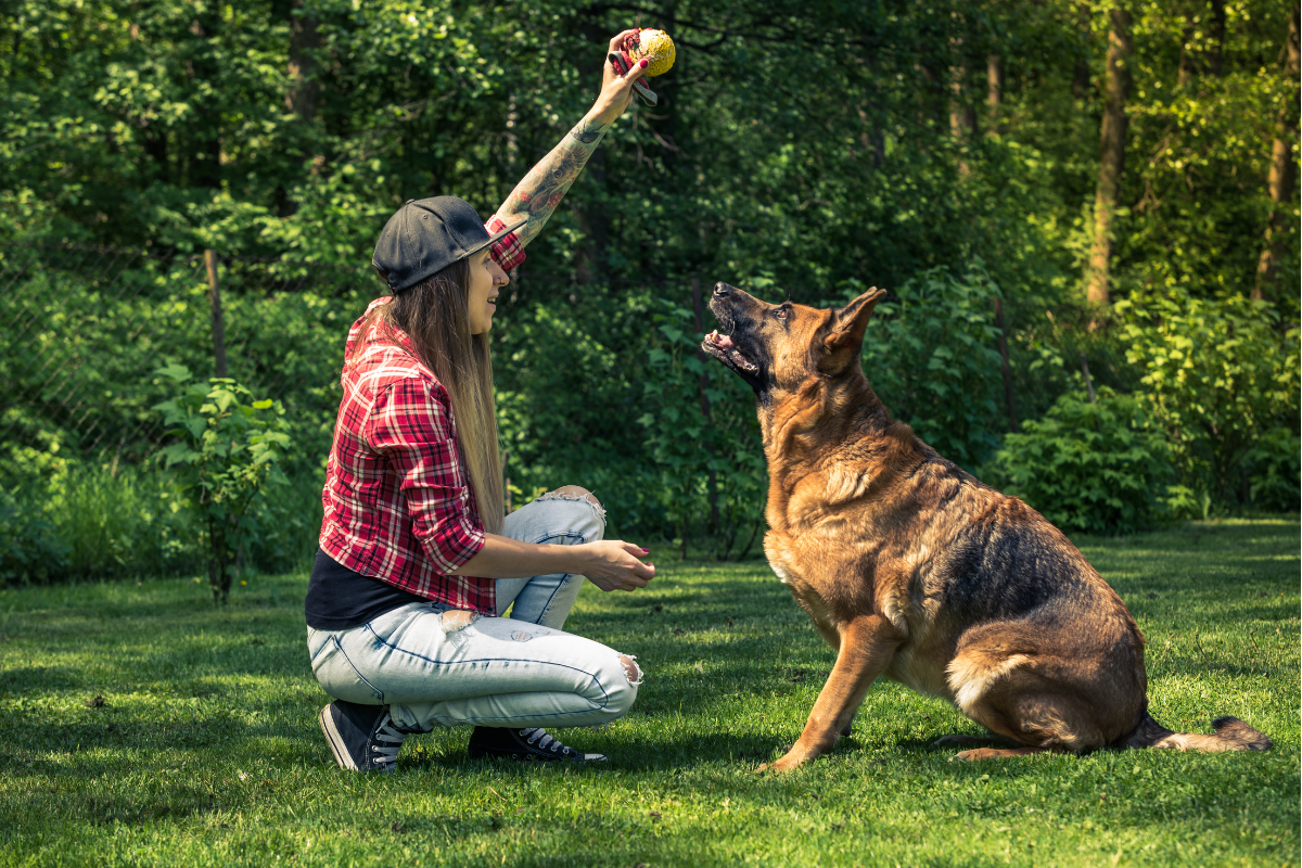 Decoding Dog Behavior: Understanding Your Canine Companion