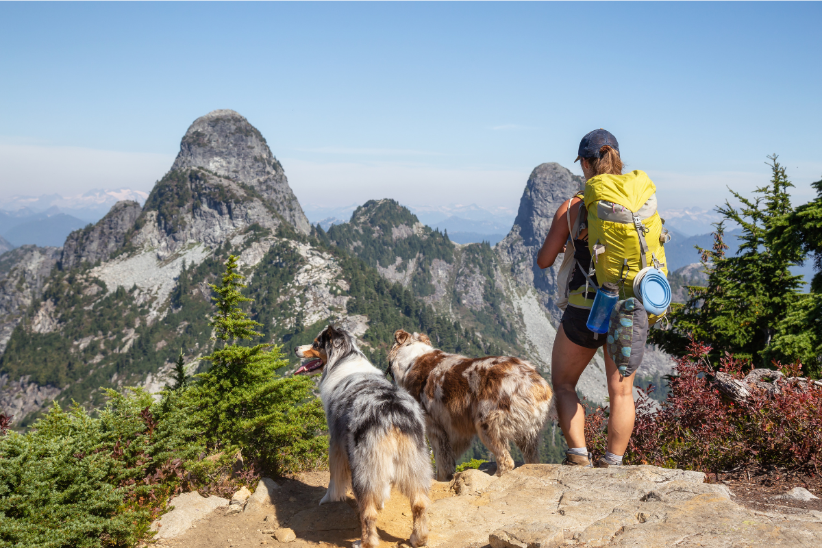 Unleash Adventure: The Ultimate Guide to Hiking with Your Dog