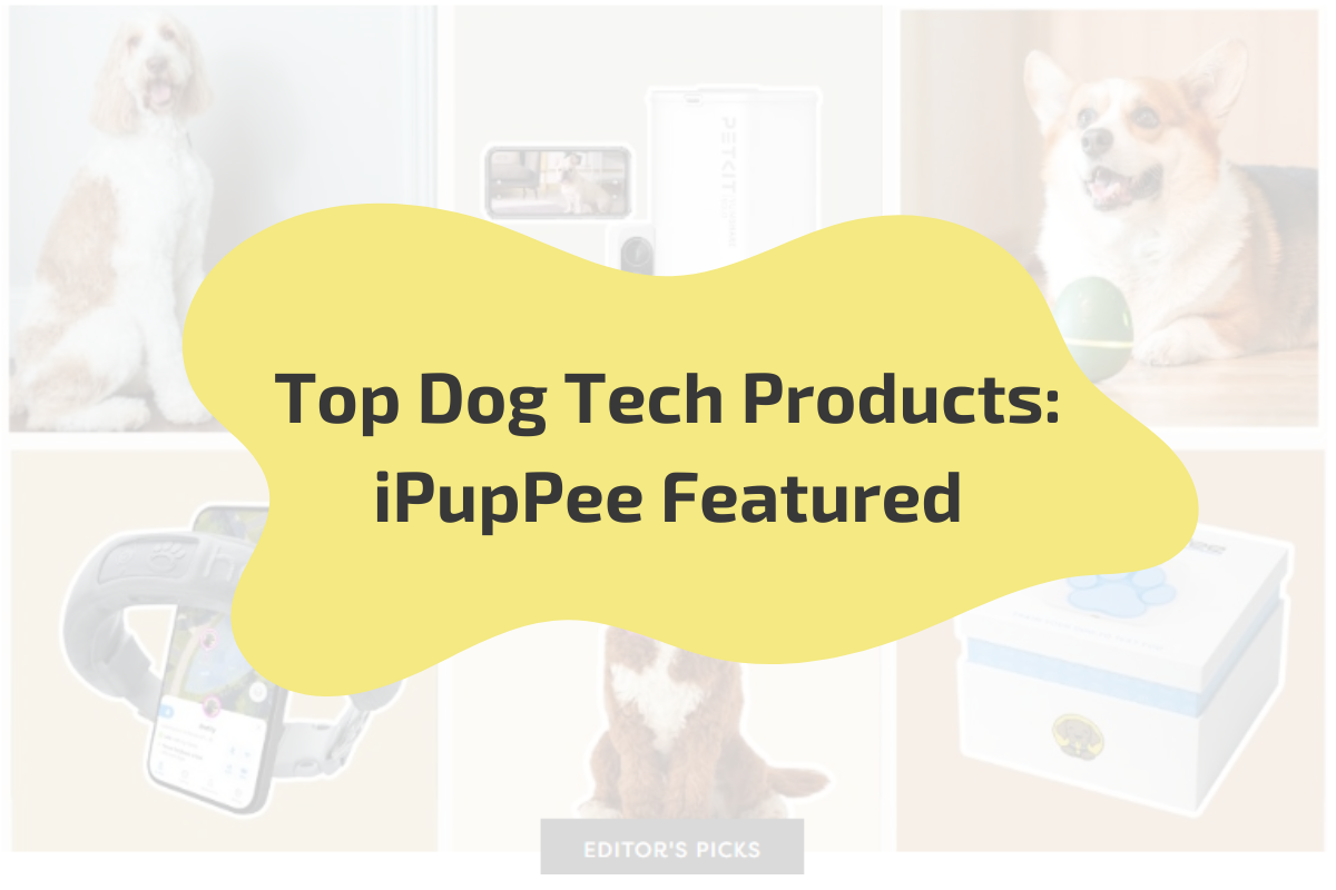 Top Tech Products Your Dog Needs in 2024