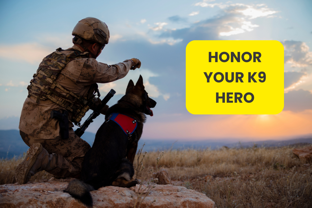 🎖️ Paws of Honor: Celebrating Memorial Day With Your Dog