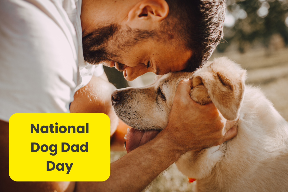 š³ Barking Up the Right Tree: Dog Dads Deserve Their Day