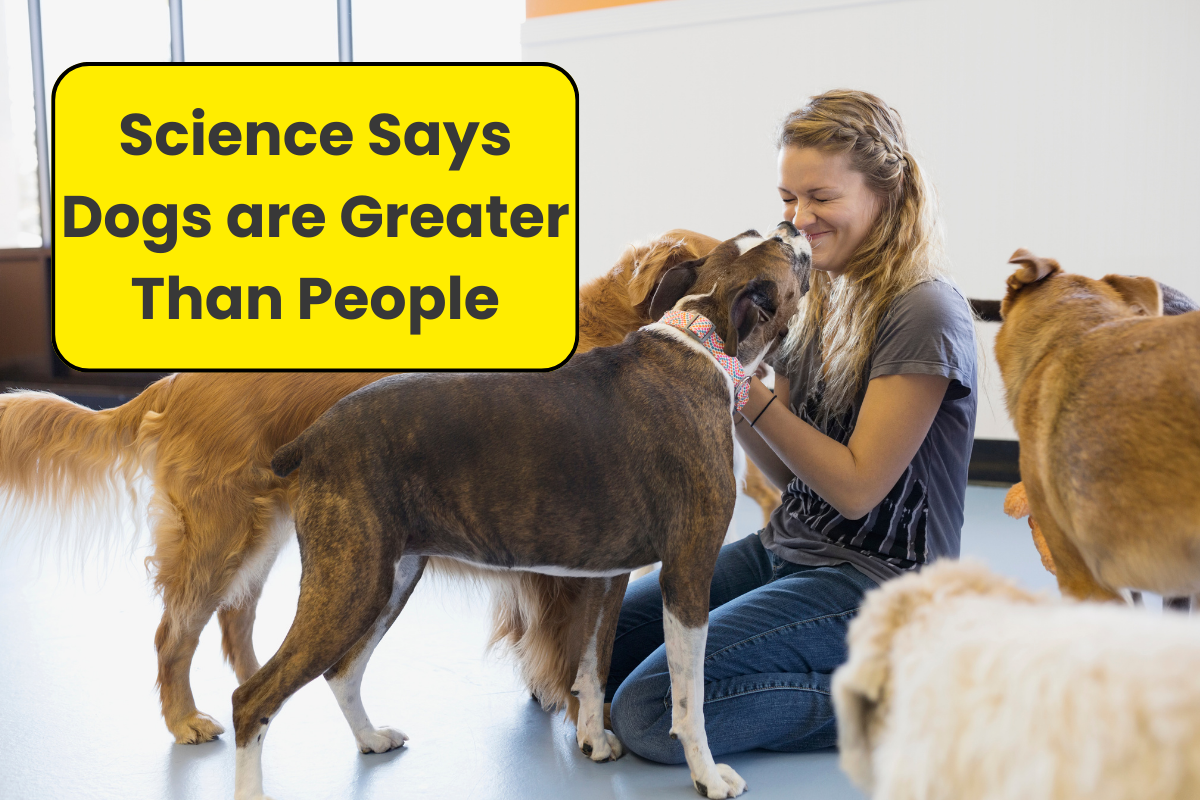 🐾 Why Dogs Might Just Be Better Than People (Science Says So!)