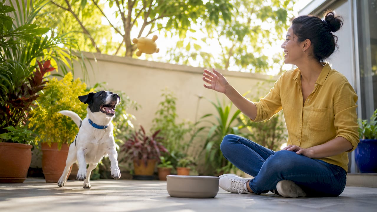 Woman bonding with newly adopted rescue dog at home