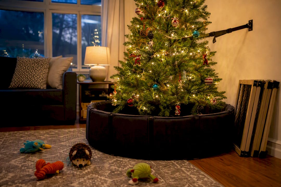 Anchored Christmas tree with dog-proofing barriers