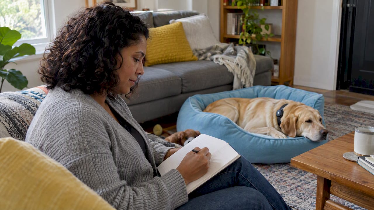Owner noting observations beside resting Labrador