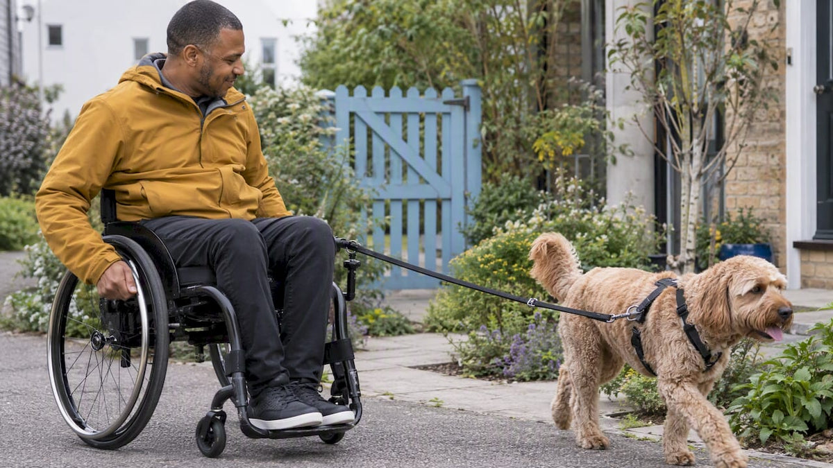 Wheelchair user walking beside a dog
