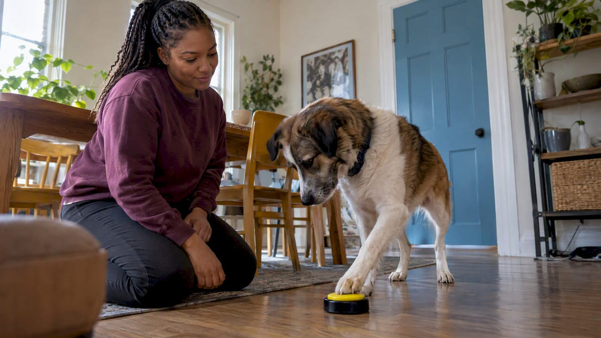 Dog presses a talking button as owner watches