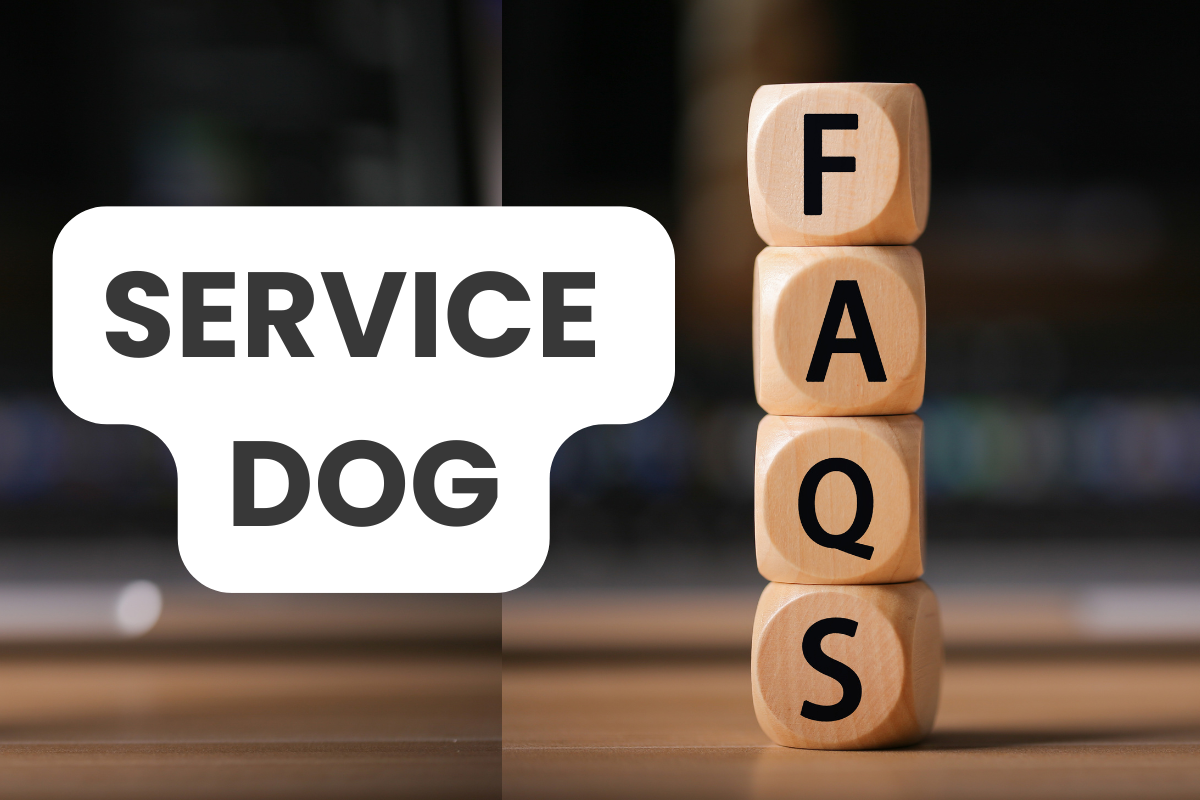 Service Dog FAQs: Everything You Need to Know – iPupPee