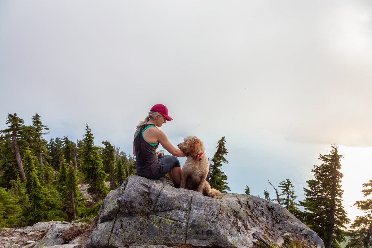Best Hiking Trails to Bring Your Dog in the US!