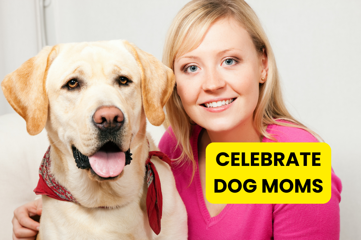 🐾 Paws Up for Dog Moms: How to Celebrate the Women Who Do It All