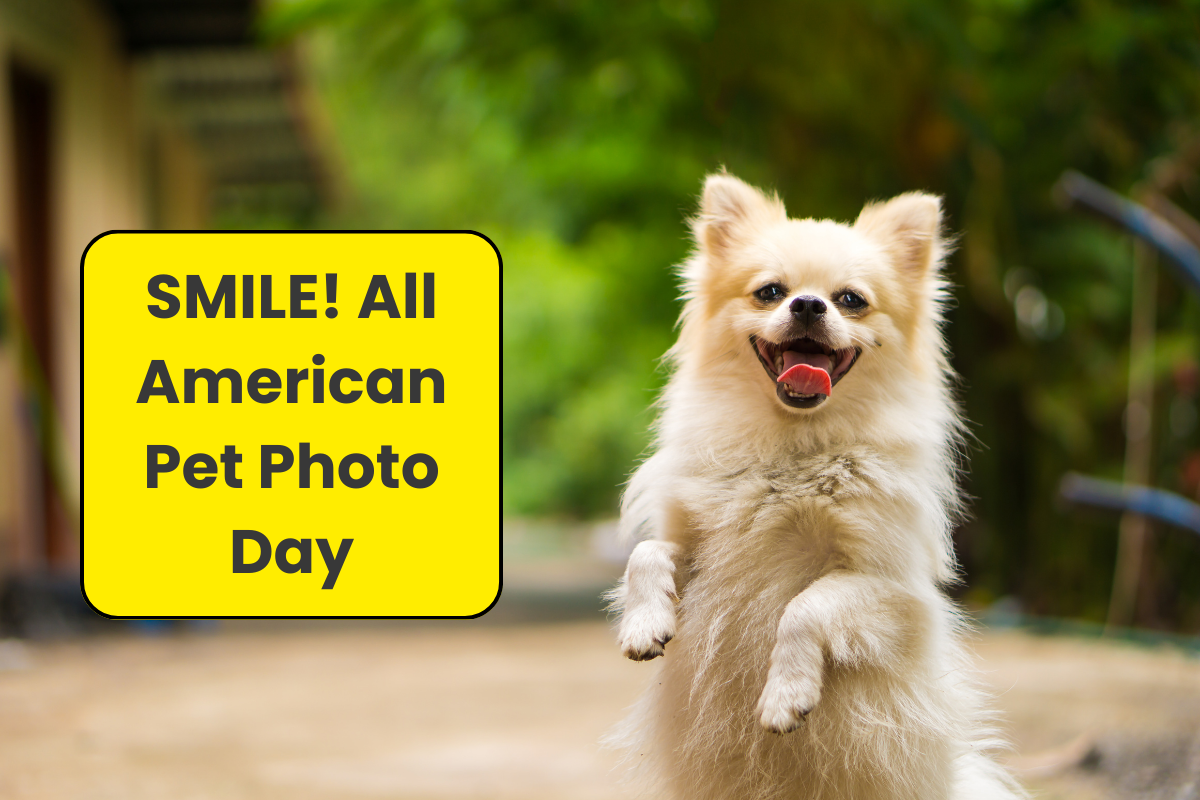 📸 Strike a Paws! It’s All-American Pet Photo Day